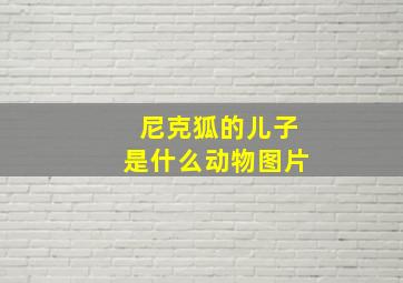 尼克狐的儿子是什么动物图片