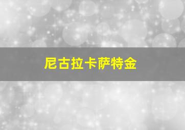 尼古拉卡萨特金