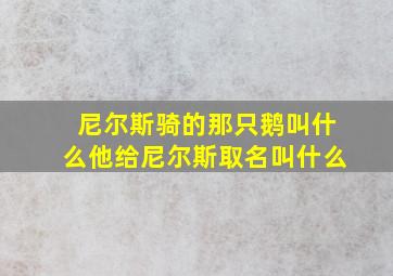 尼尔斯骑的那只鹅叫什么他给尼尔斯取名叫什么