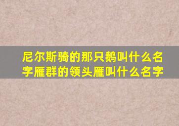 尼尔斯骑的那只鹅叫什么名字雁群的领头雁叫什么名字