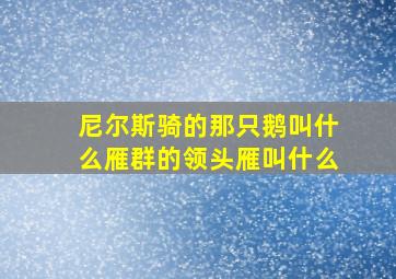 尼尔斯骑的那只鹅叫什么雁群的领头雁叫什么