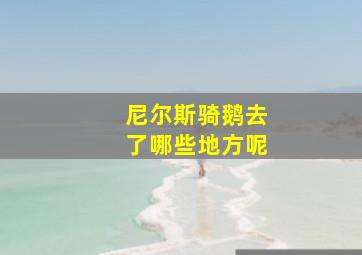 尼尔斯骑鹅去了哪些地方呢