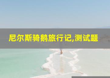 尼尔斯骑鹅旅行记,测试题