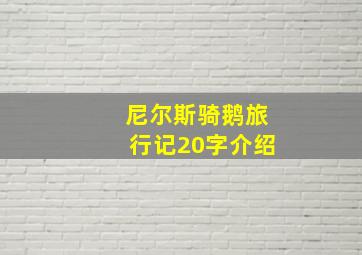 尼尔斯骑鹅旅行记20字介绍