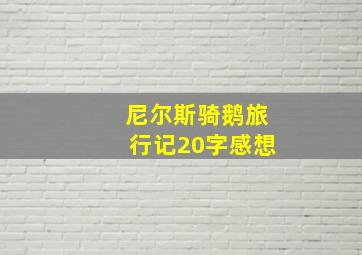 尼尔斯骑鹅旅行记20字感想