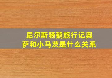 尼尔斯骑鹅旅行记奥萨和小马茨是什么关系