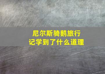 尼尔斯骑鹅旅行记学到了什么道理