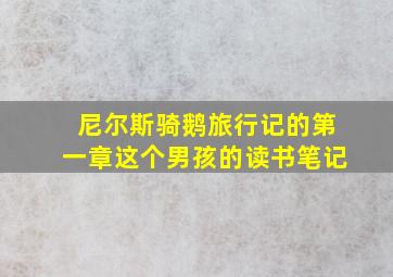 尼尔斯骑鹅旅行记的第一章这个男孩的读书笔记