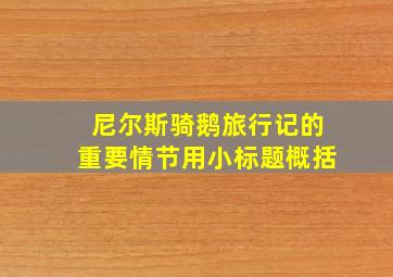 尼尔斯骑鹅旅行记的重要情节用小标题概括