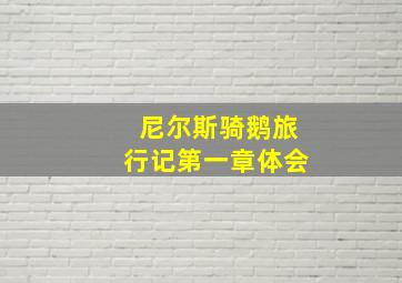 尼尔斯骑鹅旅行记第一章体会