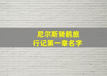 尼尔斯骑鹅旅行记第一章名字