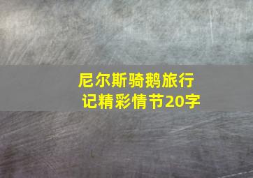 尼尔斯骑鹅旅行记精彩情节20字