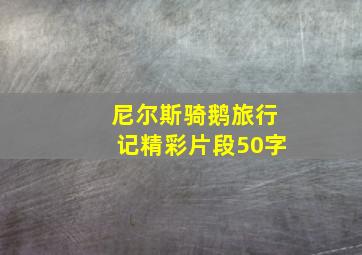 尼尔斯骑鹅旅行记精彩片段50字