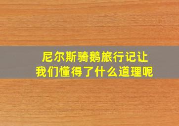 尼尔斯骑鹅旅行记让我们懂得了什么道理呢