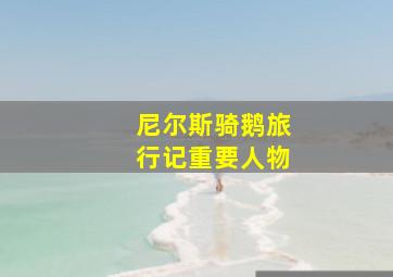 尼尔斯骑鹅旅行记重要人物