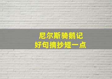 尼尔斯骑鹅记好句摘抄短一点