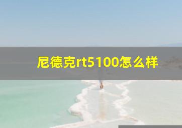 尼德克rt5100怎么样