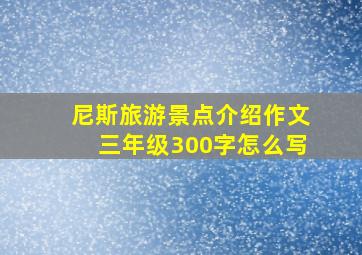 尼斯旅游景点介绍作文三年级300字怎么写