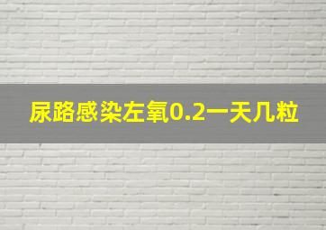 尿路感染左氧0.2一天几粒