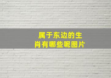 属于东边的生肖有哪些呢图片