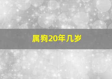 属狗20年几岁