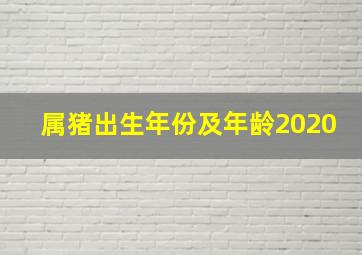 属猪出生年份及年龄2020