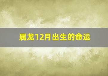 属龙12月出生的命运