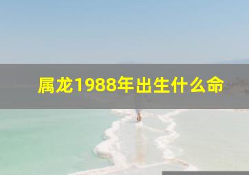 属龙1988年出生什么命