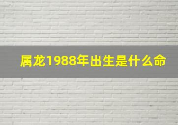 属龙1988年出生是什么命