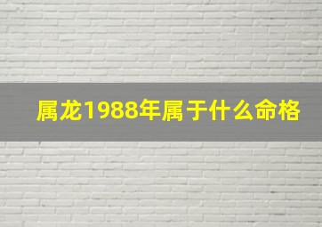 属龙1988年属于什么命格