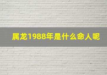 属龙1988年是什么命人呢