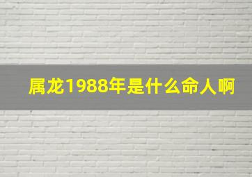 属龙1988年是什么命人啊