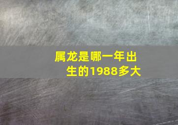 属龙是哪一年出生的1988多大