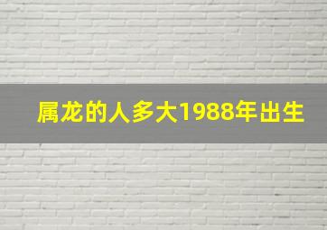 属龙的人多大1988年出生