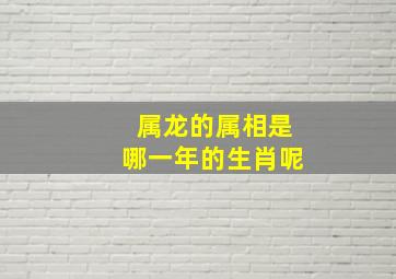 属龙的属相是哪一年的生肖呢