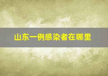 山东一例感染者在哪里