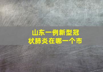 山东一例新型冠状肺炎在哪一个市