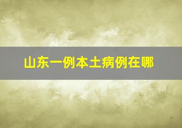 山东一例本土病例在哪