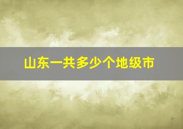 山东一共多少个地级市