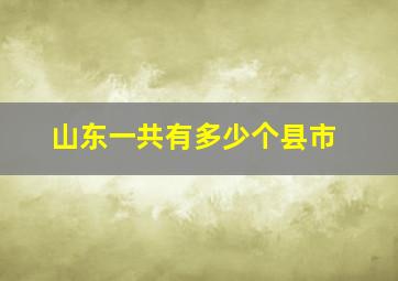 山东一共有多少个县市