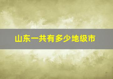 山东一共有多少地级市