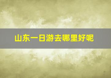 山东一日游去哪里好呢