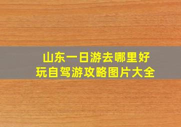 山东一日游去哪里好玩自驾游攻略图片大全