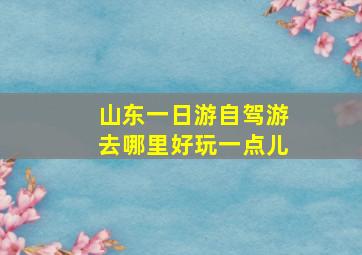 山东一日游自驾游去哪里好玩一点儿