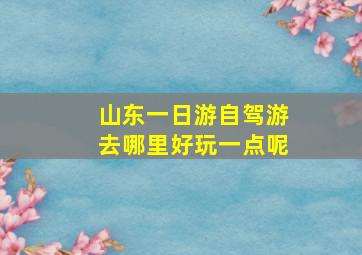 山东一日游自驾游去哪里好玩一点呢