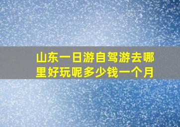 山东一日游自驾游去哪里好玩呢多少钱一个月