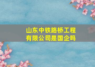 山东中铁路桥工程有限公司是国企吗