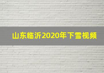 山东临沂2020年下雪视频