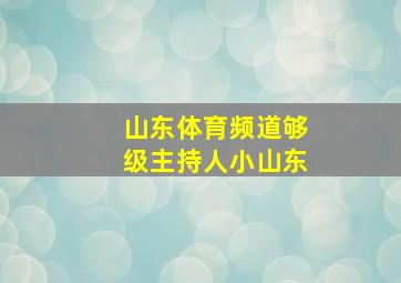 山东体育频道够级主持人小山东