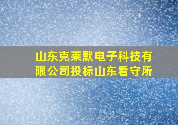 山东克莱默电子科技有限公司投标山东看守所